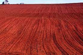 red