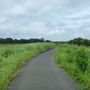 2021-07-16-004