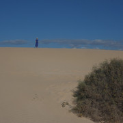 DSCF8531