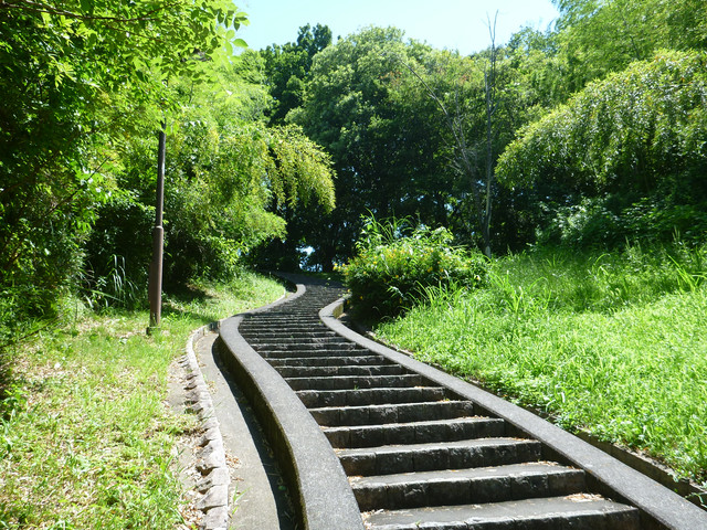P1320176.jpg