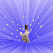 3.gif