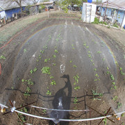 2a0303m