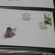 IMG-2662