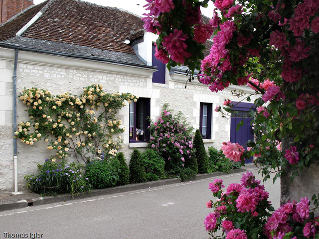 Chedigny3