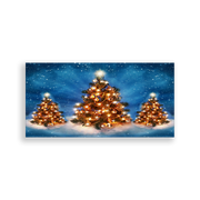 702490-Natal