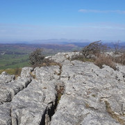 008a-Limestone-Pavement
