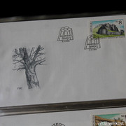 IMG-2503