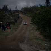 DSC02501