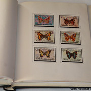 IMG-3958
