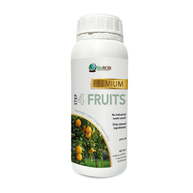Fruits.jpg