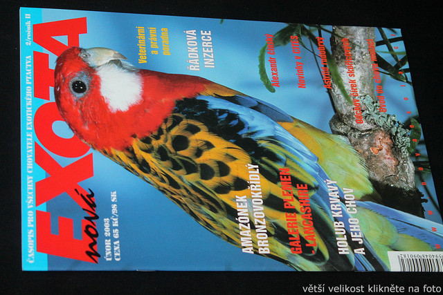 IMG-7797