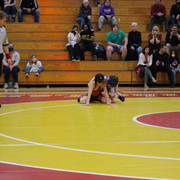 IMG-0203