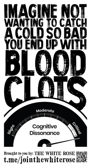 Cognitive-Dissonance-Scale