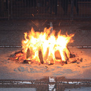 IMG-8449