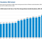 VBA