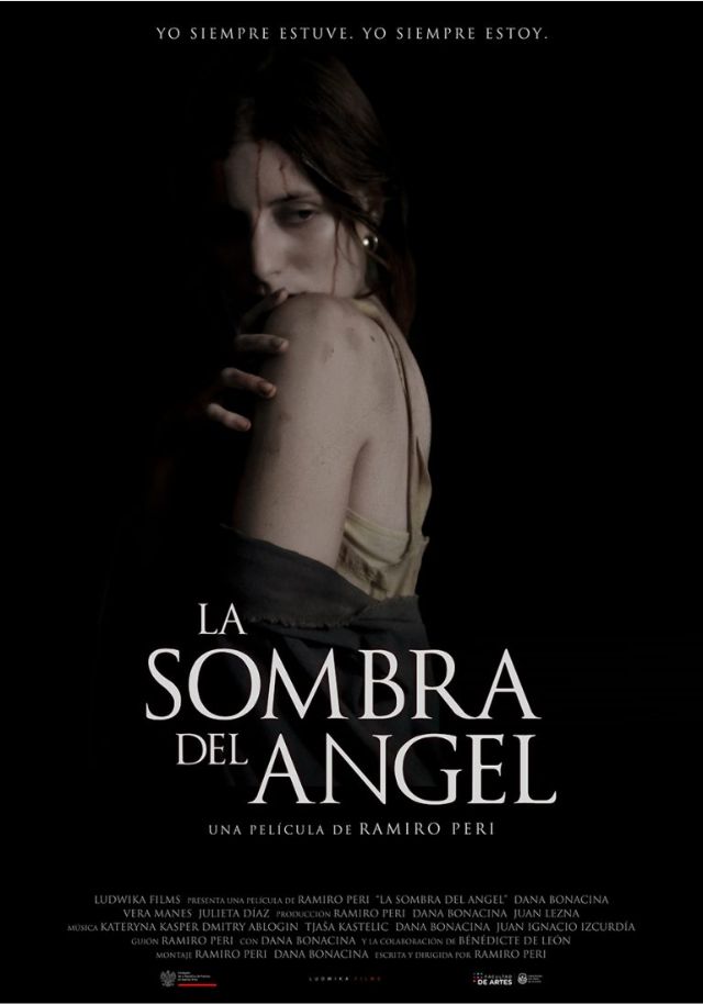 Póster de La sombra del ángel