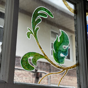 IMG 9120