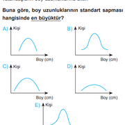 standart Sapma