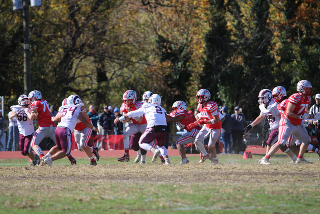 IMG-1513