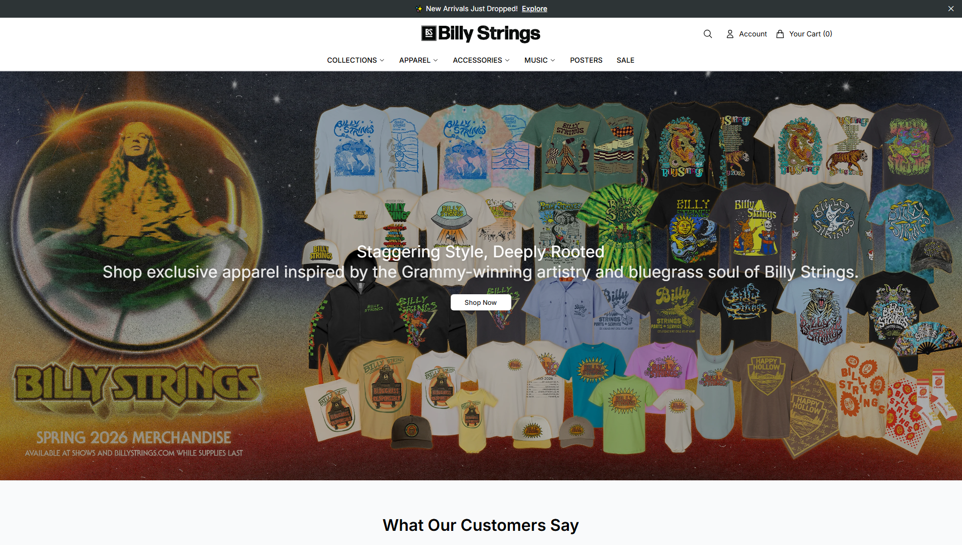 Основной снимок · billystringshouse.shop