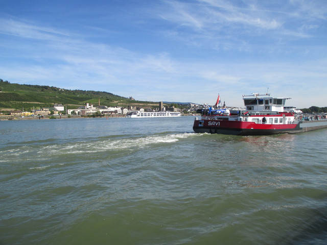 IMG-3555.jpg