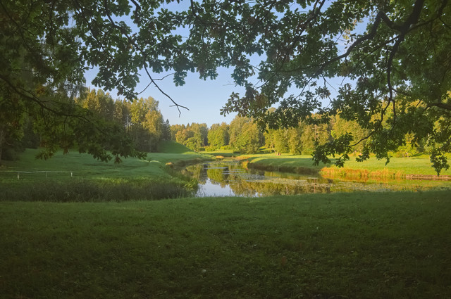 DSCF4463.jpg