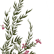 01-232