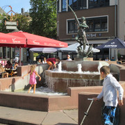 IMG-3566