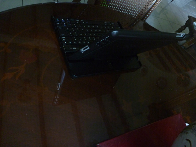 P1060467.jpg