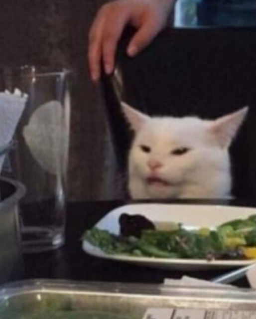 gato.jpg