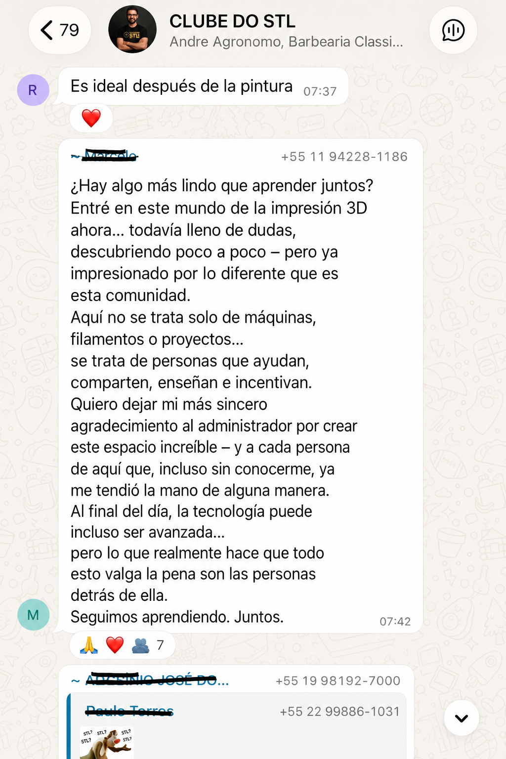 VIP 4 Español