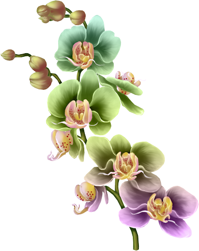 33cd3b4b0a4ac6778ee589b5dda0e9e1.png
