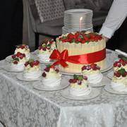 DSC-3215