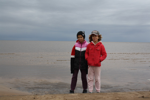 IMG-0351