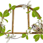 cluster-frame-176
