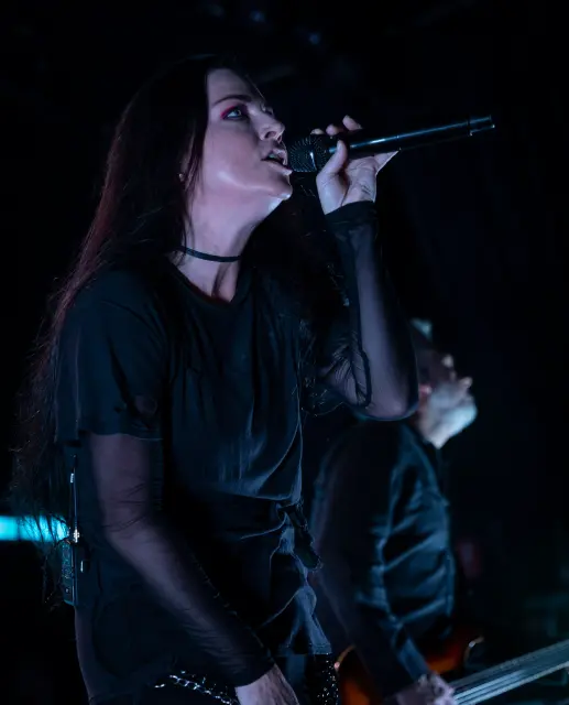Evanescence-Deb-Pelser-1-31