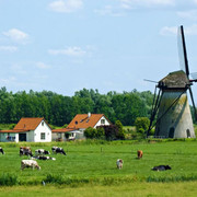 De-Marsch