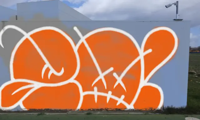 Graffiti artwork by notag