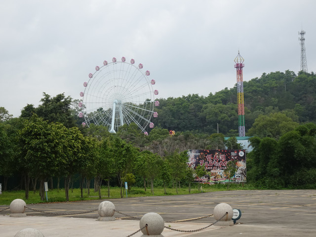 DSC00135.jpg