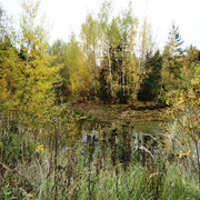 DSC00146