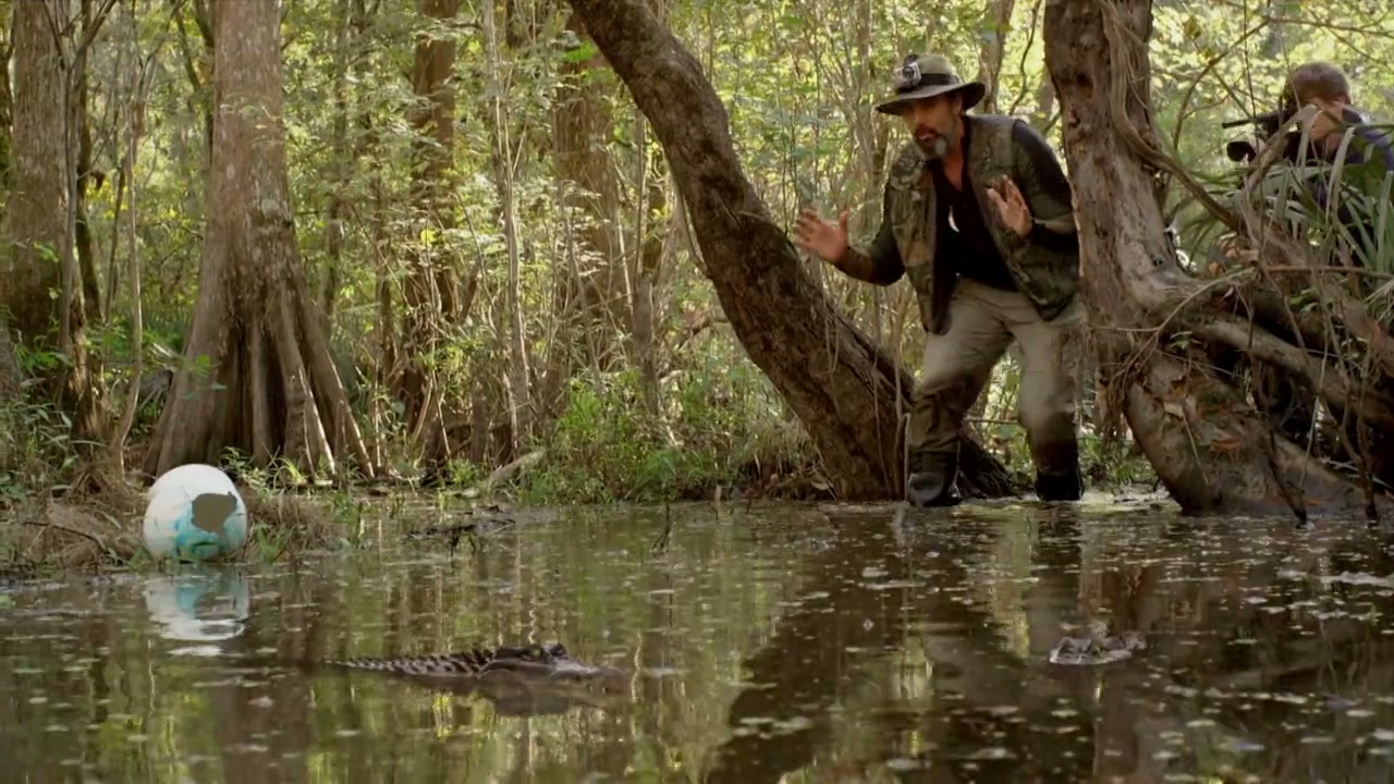 Alligator Alley Screenshot