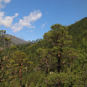 IMG 0380