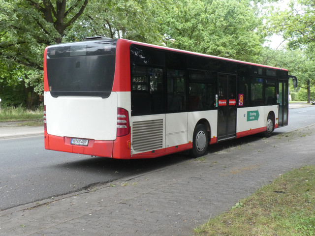 Speed Bus H AS 407 3.jpg