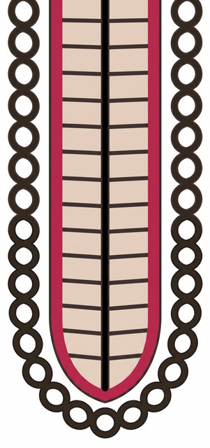 N3.jpg