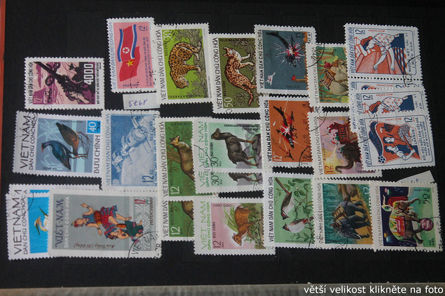 IMG-3787.jpg