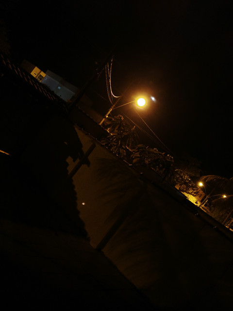 z11 max noite