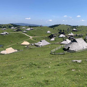 IMG 2746