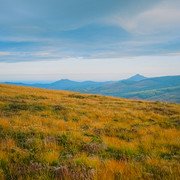 DSCF5461
