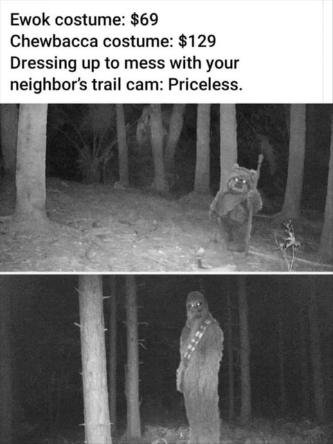 trailcam