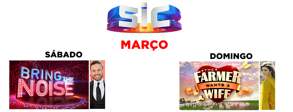 SIC-1.png